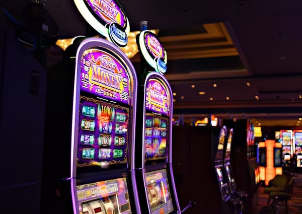 333bet download